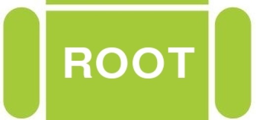 Root - Everything About