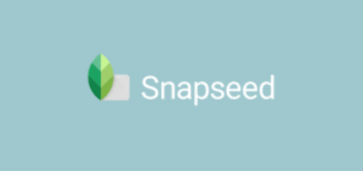 How to Remove Background in Snapseed? [Tested Method] • Android Flagship