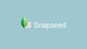 How to Remove Background in Snapseed? [Tested Method] • Android Flagship